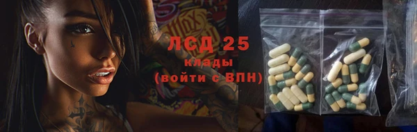 прущие грибы Богородск