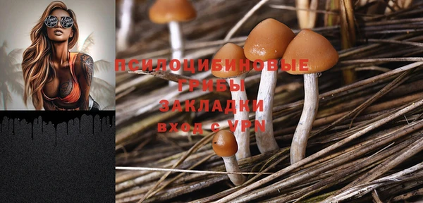 гидропоника Бугульма