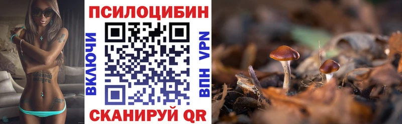 дарнет шоп  Верхний Уфалей  Псилоцибиновые грибы мицелий 